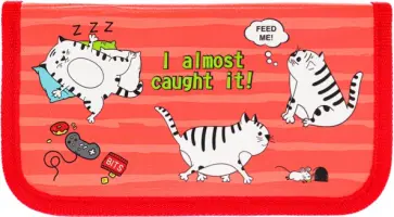 Пенал 2 отделения Полосатые коты (ПН-5993) обложка книги