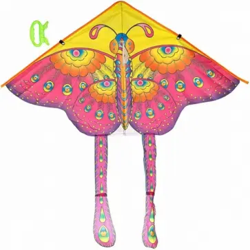 Воздушный змей "Бабочка" (B31896/ВВ4390) обложка книги