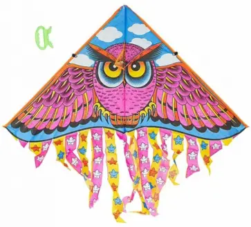 Воздушный змей "Сова" (B31897/ВВ4391) обложка книги