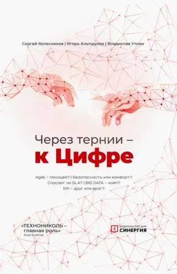 Колесников, Альтшулер - Через тернии — к Цифре Колесников, Альтшулер - Через тернии — к Цифре обложка книги