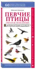 Миниатюра 2