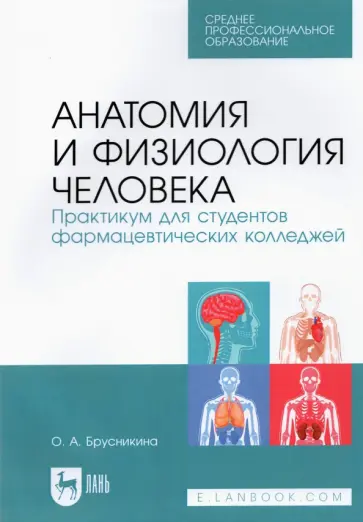 Ольга Брусникина - Анатомия и физиология человека. Практикум для студентов фармацевтических колледжей Ольга Брусникина - Анатомия и физиология человека. Практикум для студентов фармацевтических колледжей обложка книги