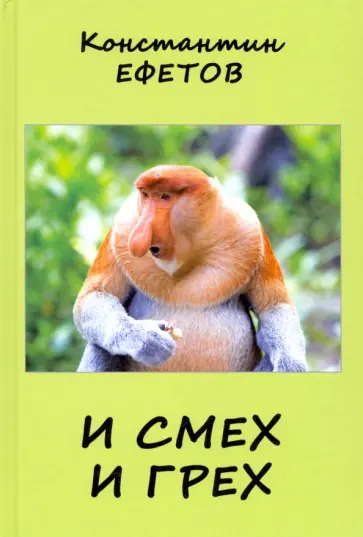 Константин Ефетов - И смех и грех обложка книги