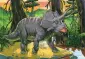 Пазлы