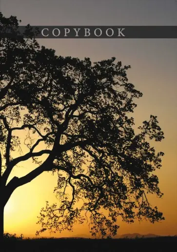 Тетрадь-перевертыш Дерево на закате, 80 листов, А4, клетка обложка книги