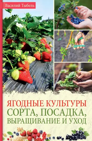 Василий Тыбель - Ягодные культуры. Сорта, посадка, выращивание и уход обложка книги