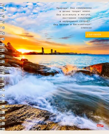 Тетрадь Прибрежный пейзаж, 96 листов, клетка, А5, в ассортименте обложка книги