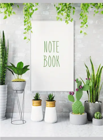 Тетрадь для конспектов 80 листов, А4, Зеленая композиция (Т4804730) обложка книги