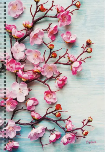 Тетрадь для конспектов 96 листов, А4, спираль, Вишня (ТСБ4964685) обложка книги