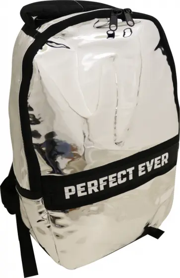 Рюкзак, серебряный, искусственная кожа, одно отделение, 42х26х12 см. (51182) обложка книги