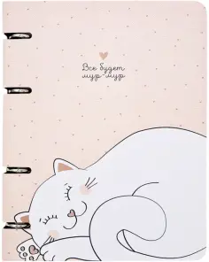 Тетрадь с кольцевым механизмом Mur-mur,120 листов, клетка, А5, кот обложка книги