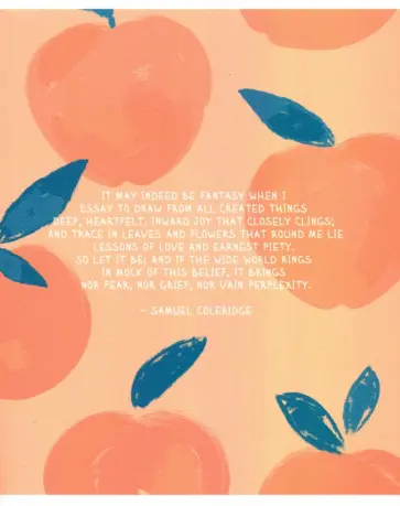 Тетрадь общая (48 листов, А5, клетка), "Pastel. Персики" (N2555) обложка книги