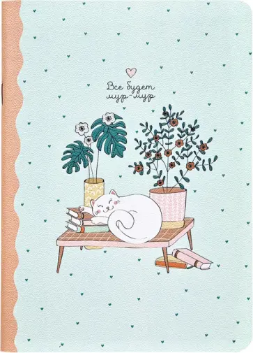 Тетрадь общая "Mur-mur. Голубой", 48 листов, клетка (N2491) обложка книги