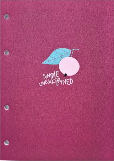 Блокнот "Simple. Яблоко", 80 листов, клетка (N2435) обложка книги