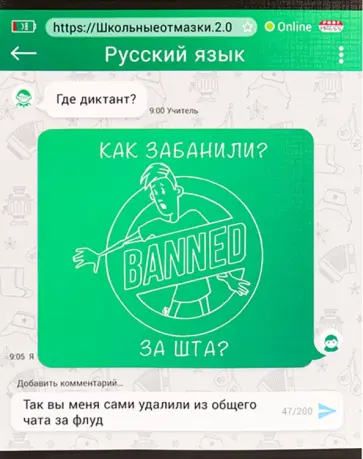 Тетрадь предметная ШКОЛЬНЫЕ ОТМАЗКИ. РУССКИЙ ЯЗЫК (48-1084) обложка книги