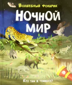 Лиза Риган - Волшебный фонарик. Ночной мир обложка книги