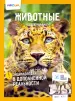 Миниатюра 1