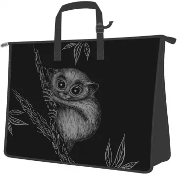 Папка для чертежей и рисунков "Лори", А2, пластиковая (56573) обложка книги