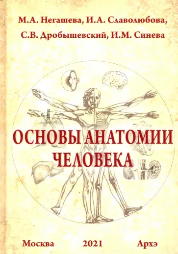 Негашева, Дробышевский - Основы анатомии человека. Учебное пособие обложка книги