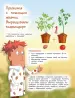 Миниатюра 4