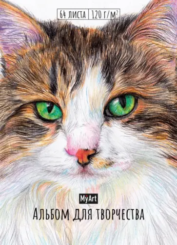 My art. Альбом для творчества. Кот обложка книги
