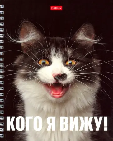 Тетрадь "Привет", А5, 48 листов, клетка, в ассортименте (48Т5В1гр) обложка книги