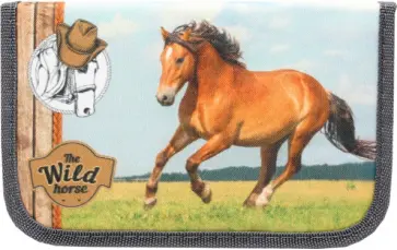 Пенал  ЛОШАДЬ НА ЛУГУ (ПН-5954) обложка книги