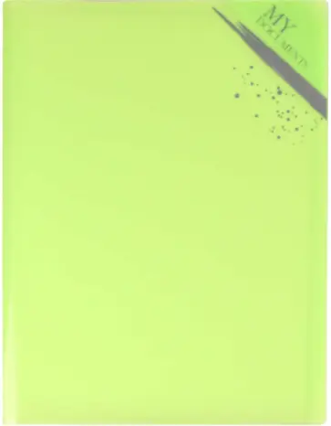 Папка для документов, пластиковая, зеленая, А4 (53245) обложка книги