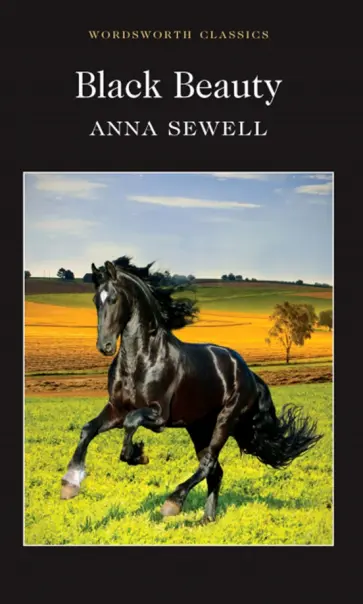 Anna Sewell - Black Beauty Anna Sewell - Black Beauty обложка книги