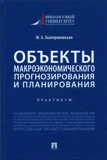 Мария Екатериновская - Объекты макроэкономического прогнозирования и планирования. Практикум обложка книги