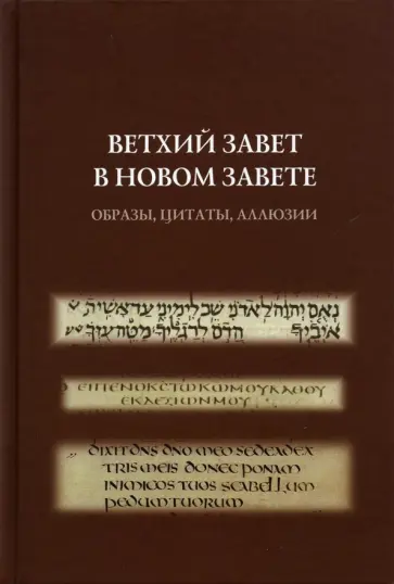 Мойизе, Хейзенга - Ветхий Завет в Новом Завете. Образы, цитаты, аллюзии обложка книги