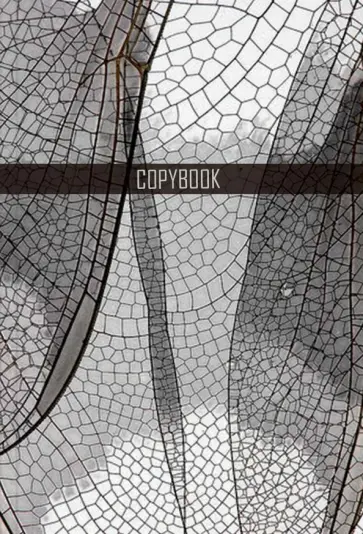 Тетрадь "Паутина", А4, 96 листов, клетка (58318) обложка книги