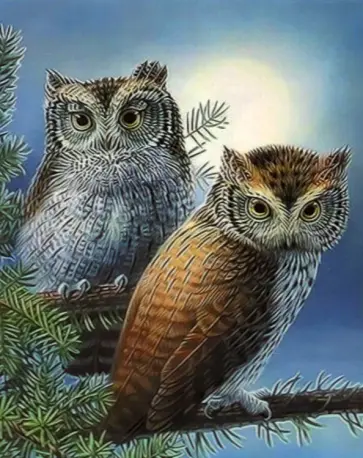 Картина по номерам (40х50 см), СОВЫ (Tz-13908) обложка книги