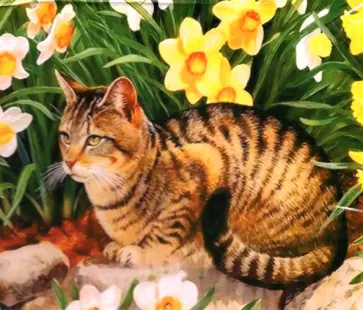 Картина по номерам (40х50 см), КОТ (Tz-13652) обложка книги