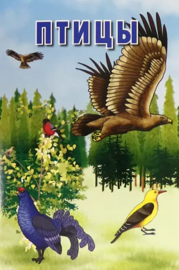 Карточки. Птицы. Интересные факты о каждой птице. 15 карточек обложка книги