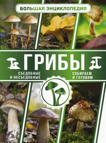 Андрей Поленов - Большая энциклопедия. Грибы. Съедобные и несъедобные. Собираем и готовим обложка книги