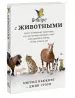 Миниатюра 2