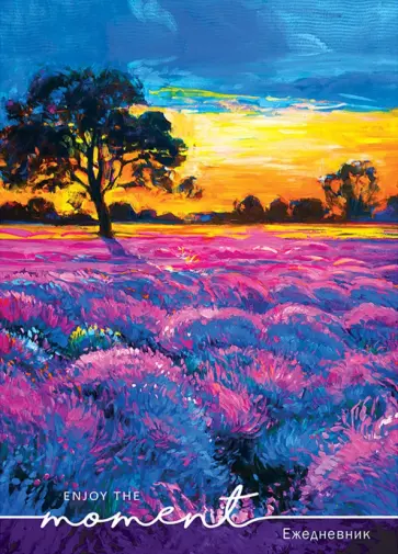 Ежедневник недатированный "Нарисованный закат", А5, 80 листов (80-7494) обложка книги