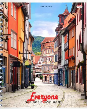 Тетрадь общая (96 листов, А5, клетка, гребень), УЗКАЯ МОСТОВАЯ, в ассортименте (96-9033) обложка книги