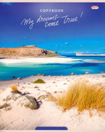 Тетрадь Прибрежные виды, 96 листов, клетка, А5, в ассортименте обложка книги