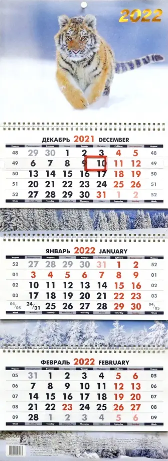 Календарь квартальный. Символ года 1, на 2022 год обложка книги