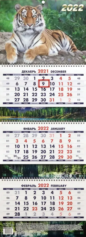 Календарь квартальный. Символ года 2, на 2022 год обложка книги