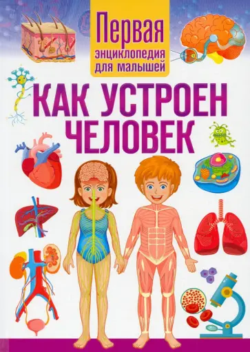 Как устроен человек. Первая энциклопедия для малышей Как устроен человек. Первая энциклопедия для малышей обложка книги