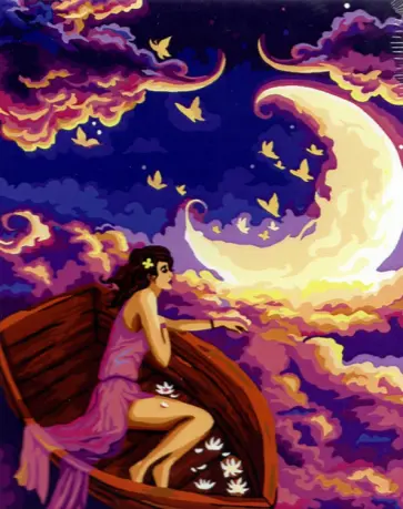 Рисование по номерам "Проплывая по небу", 40х50 см (R003) обложка книги