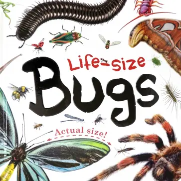Life-size. Bugs Life-size. Bugs обложка книги