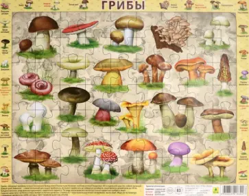 Пазл-63 "Грибы" обложка книги