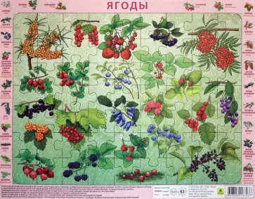 Пазл-63 Ягоды обложка книги