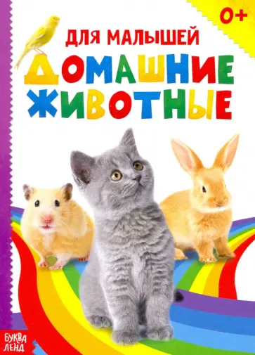 Домашние животные Домашние животные обложка книги