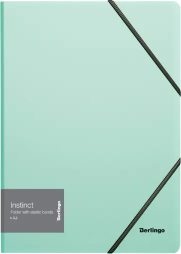 Папка на резинке "Instinct", А4, мятная (ANp_01520) обложка книги