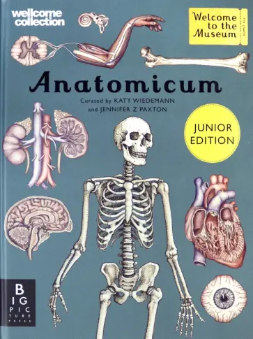 Jennifer Paxton - Anatomicum Junior обложка книги